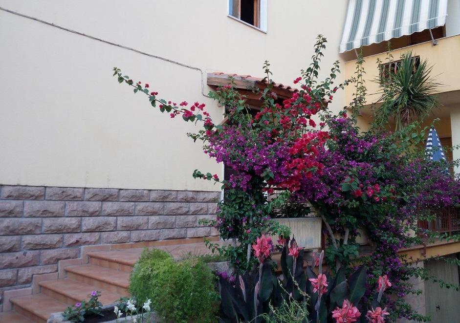Al 32 Y 3 Bed & Breakfast Alghero Dış mekan fotoğraf